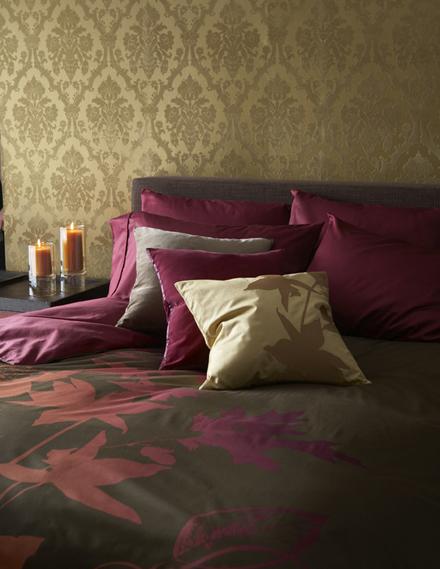 z(lin)֡LANҾOӋِ