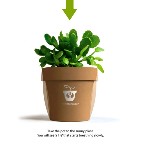 (hu )Ļ脓(chung  )ɫ