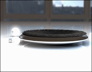 _(ki)Ą(chung  )ҾƷ