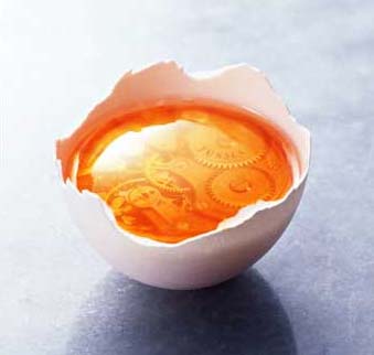 õ(chung  )(jng)ҾƷ