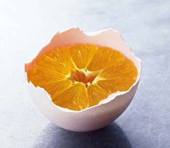 õ(chung  )(jng)ҾƷ