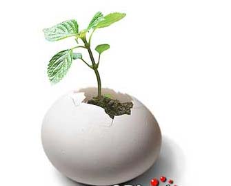 õ(chung  )(jng)ҾƷ