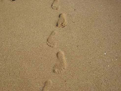 ʩ΄(chung  )I(y)ɹ