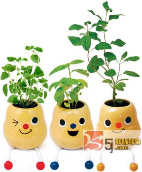 (chung  )NСƷoc(din)ϣһ