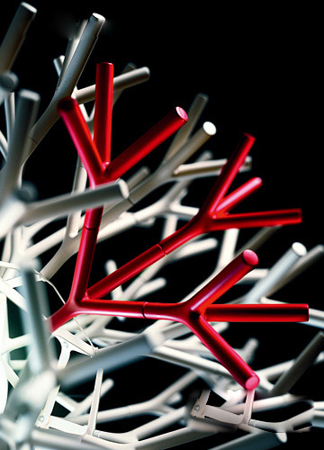 r(sh)Є(chung  )ҾӰnӼ