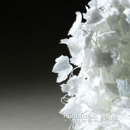 ׵Ę(sh)~Є(chung  )⵫ܹª