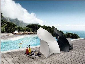 (chung  )ҾߣFluxS(MD)