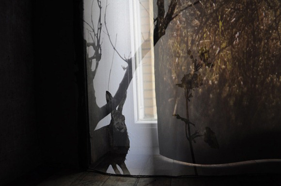 ӼС{(chung  )3D^(gun)