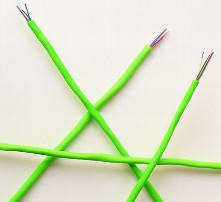 ɏļҾӄ(chung  )Gݟ