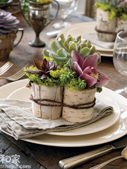 ؚwȻ(sh)ľ͵b(һ)