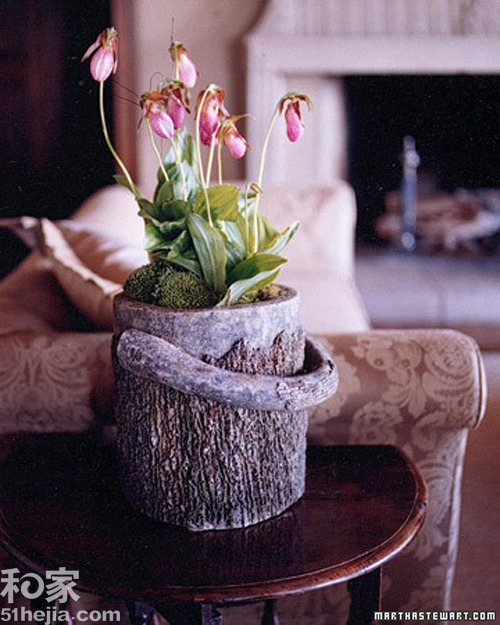 ؚwȻ(sh)ľ͵b(һ)