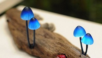 (chung  )LED(sh)ϵСĢ