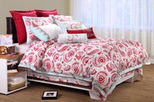 z{(lin)һǵ_(ki)չN(xio)(dng)