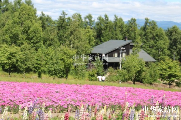 Ҽ푡(i)ڲϱ(dng)