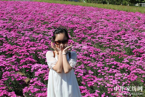 Ҽ푡(i)ڲϱ(dng)