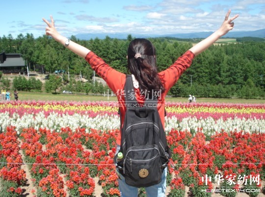 Ҽ푡(i)ڲϱ(dng)