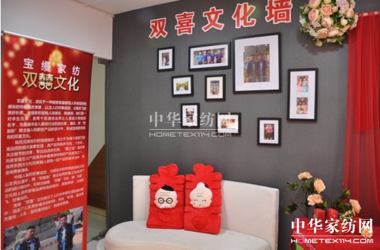 2013zﶬƷӆ؛(hu )չ