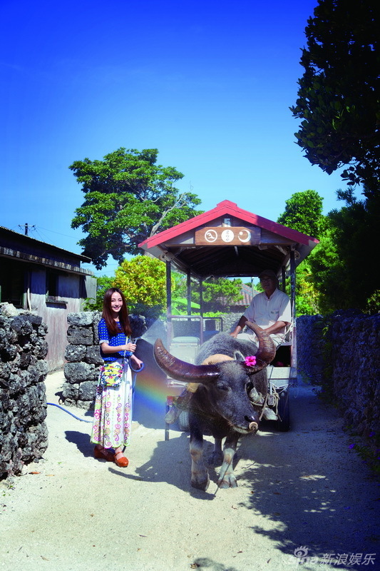 ҦΌ(xi) ጷſ옷(l )w