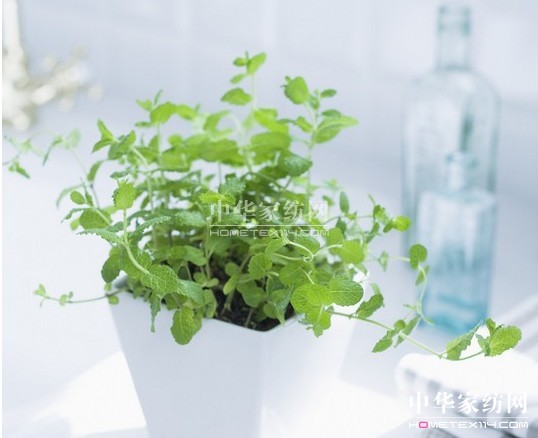 _mСNʿ  ȥ҃^(gu)Դ