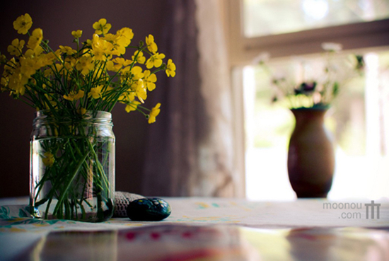 M(mn)c(din)ζ͹Ŝůļ