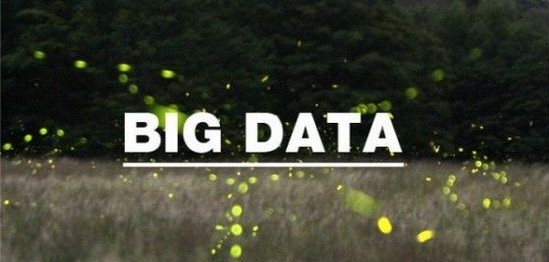 󔵓r(sh)δ(li)I(yng)N(xio)ľ