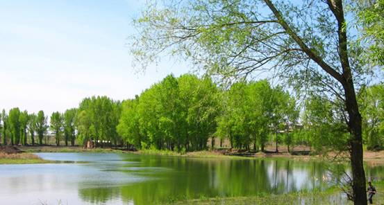 WɼҼҺʹЂ(g)s(hu )