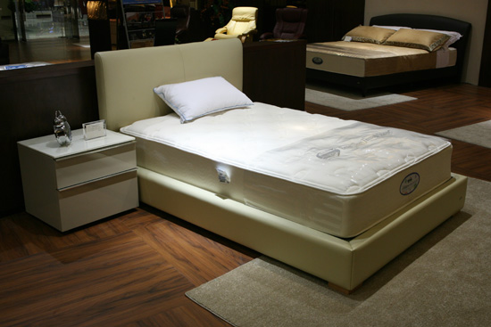 ֪l(shu)l(f)ϯ(mng)˼