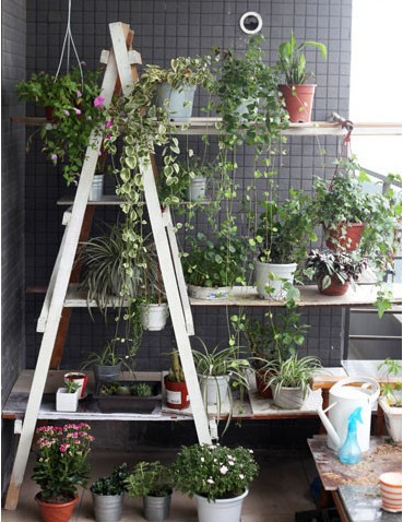 (chung  )fͳɱ삀(g)¿g2