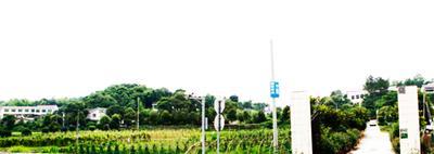 (mng)ҼٮЙCB(ti)rf ׌TϷĲ