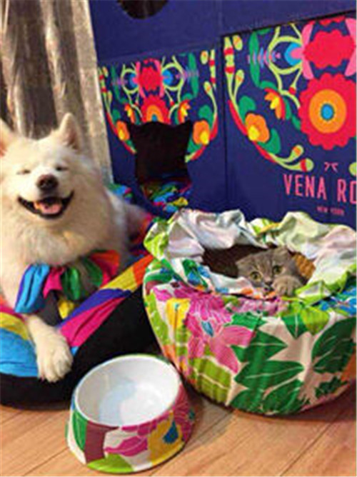 ӶΨ_Ҽص̘I(y)ģʽ