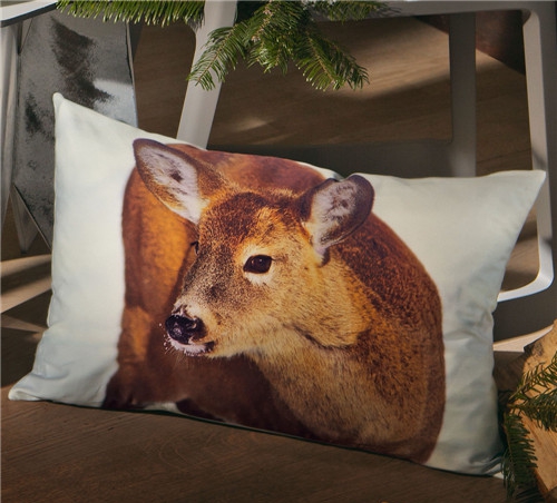 r(sh)мҼƷʥQԪؿ|C