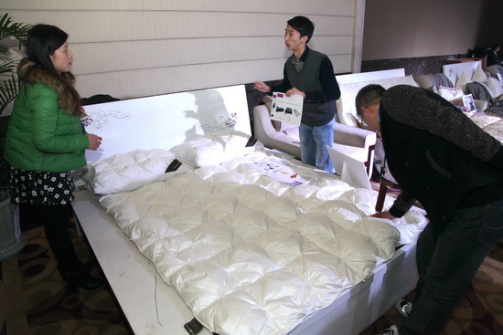 ҕX(ju)L(fng)(li)uOӋِQ̽δ(li)q