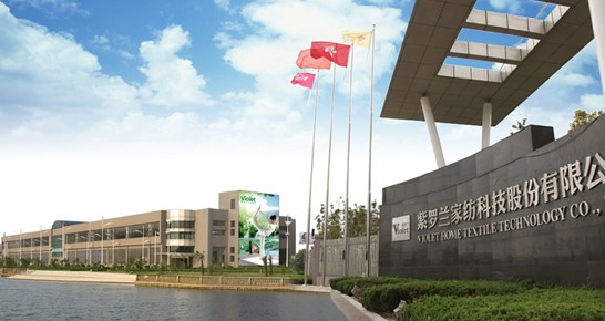 ˯ه(li)VioletCҼ