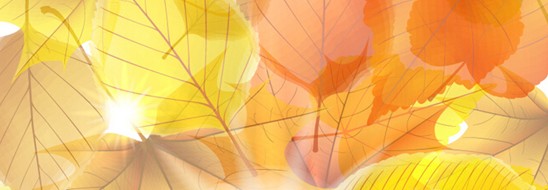 ˯ه(li)VioletCҼ