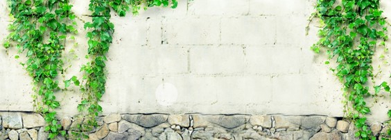 ʢšûʼҼ2016Ʒӆ؛(hu )AM(mn)