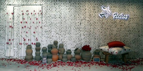 `Ҋ(jin)----FEELINGƷưl(f)(hu )ڱHˇg(sh)@^e