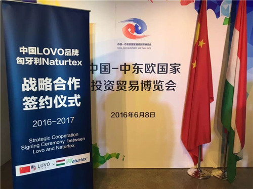 Ж|W[(hu )_(ki)Ļ_RLOVOȠq