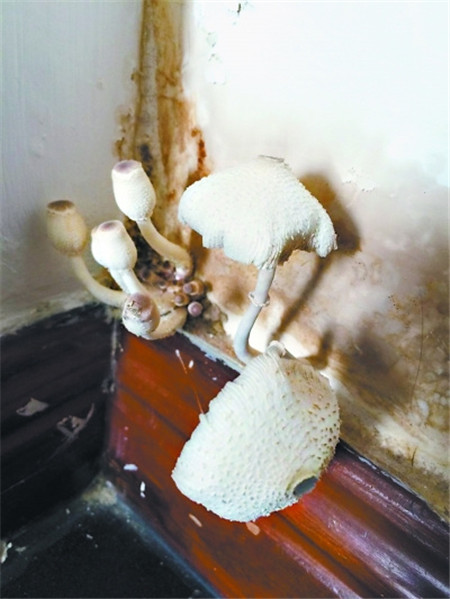 ûҾƷ^(gu)(g)ˬ÷꼾