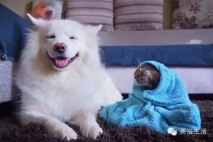 ԡëԌëҲv