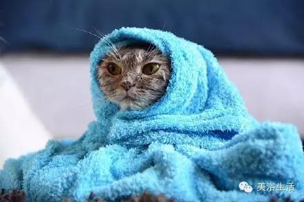 ԡëԌëҲv