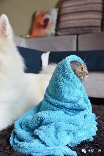 ԡëԌëҲv