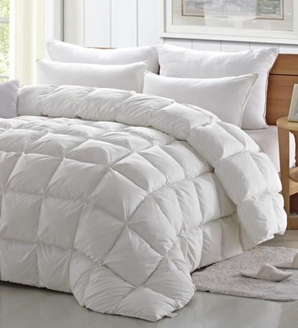 _mҼ(i)(i)360㝍˯