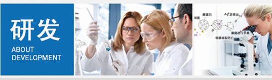 _mҼ(i)(i)360㝍˯