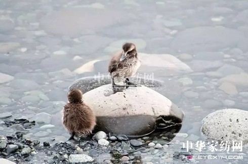 27f(wn)I(mi)²Ҽ""""