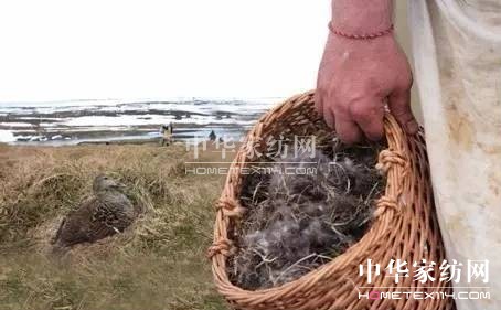 27f(wn)I(mi)²Ҽ""""