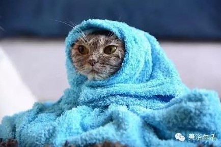 ԡëԌëҲv