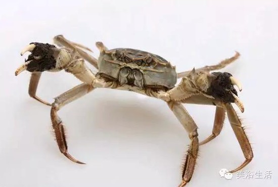 ԡÂĴlззSʳзȯзë