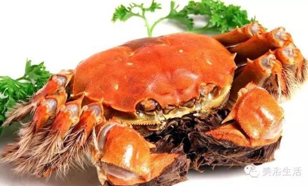 ԡÂĴlззSʳзȯзë