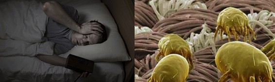 zR_(ki)B(ti)ܼҾ4.0r(sh)