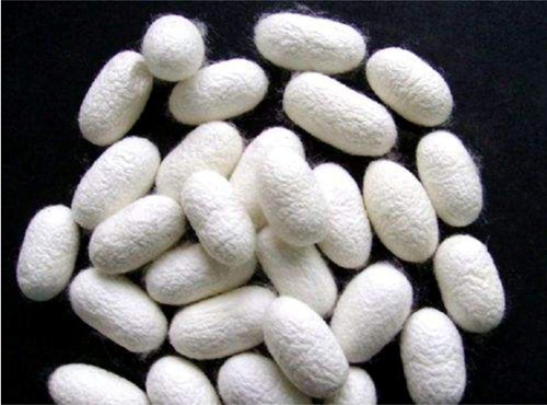 ͬǽzW_{ʲôf(shu)(i)R